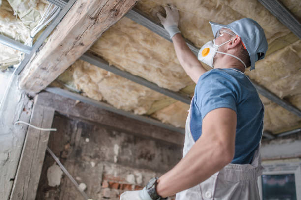 Best Insulation Contractor Near Me  in Clay Center, KS