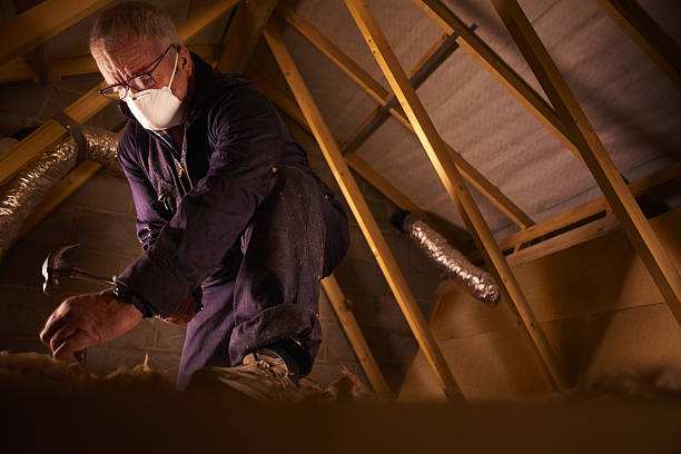 Best Insulation Contractors for Homes  in Clay Center, KS